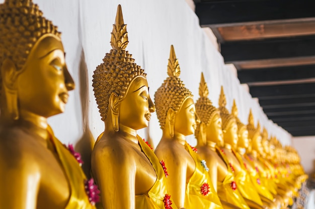 Estatuas De Buda De Oro Sentado En Una Fila En Wat Phutthaisawan El