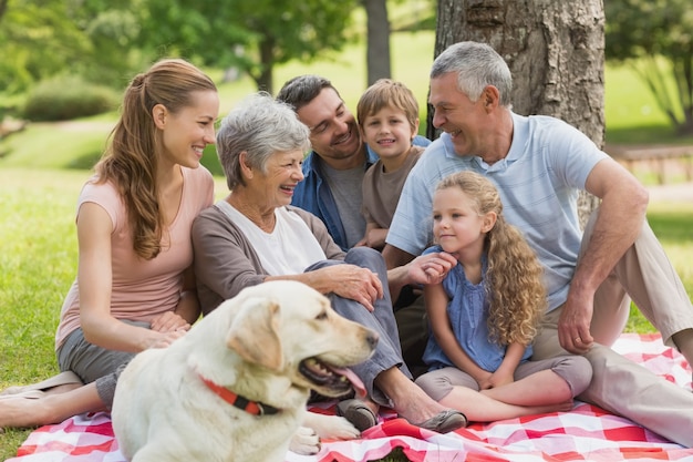 gGente divertida en la  Familia-extendida-su-perro-sentado-parque_13339-25589