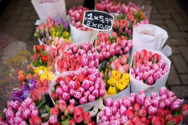 El famoso mercado de flores de amsterdam (bloemenmarkt). tulipanes 