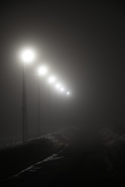 Faroles A Lo Largo Del Camino De La Noche En La Niebla Foto Premium