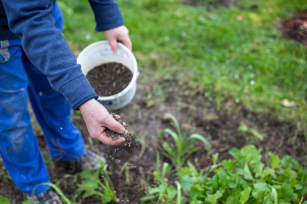 Fertilizar el jardín mediante abono bio granular Foto Premium 