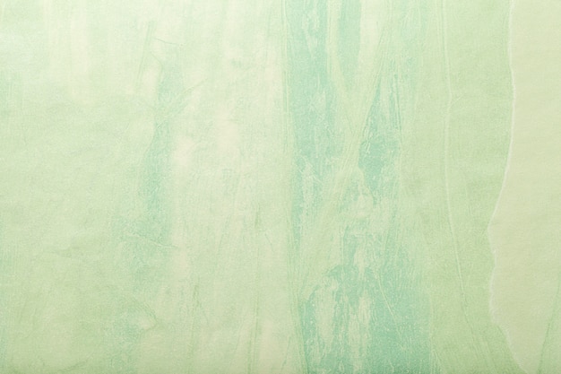 8/0 Mostacilla. Granos de semilla de vidrio, color verde claro  transparentes, 3 mm de diámetro, agujero 0.8 mm. 20 gramos. - TuBisutería