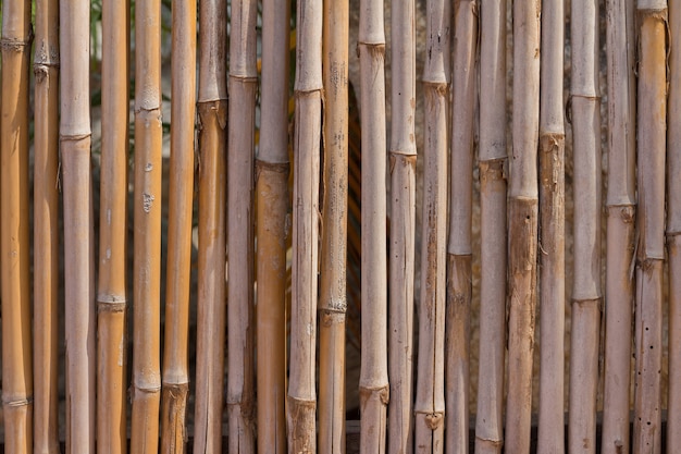 Fondo de textura  de bamb  Foto Premium