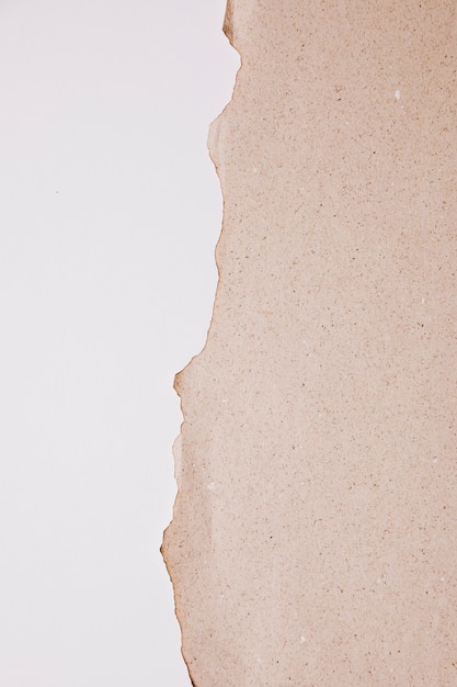 Fondo textura papel marrón Foto gratis
