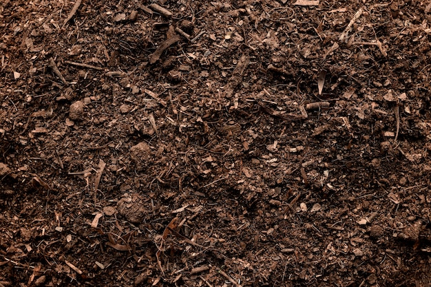 Fondo De Textura Del Suelo Suelo Franco Fértil Adecuado Para Plantar Foto Premium 1908