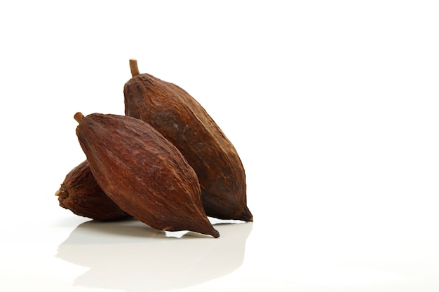 Cacao grano