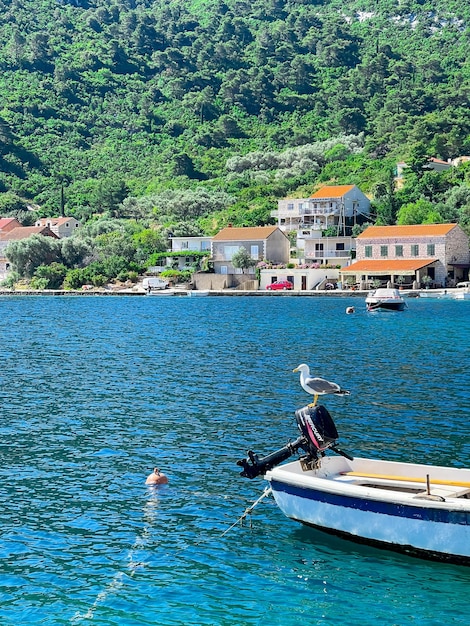 Una Gaviota Se Sienta En El Borde De Un Barco El Mar Adri Tico La Isla De Mljet Croacia Foto