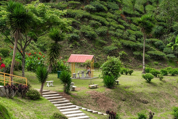 Gazebo En Un Hermoso Lugar Para Vivir La Naturaleza Verde Comodidad Y Serenidad Con Vistas A Las Verdes Colinas Foto Premium