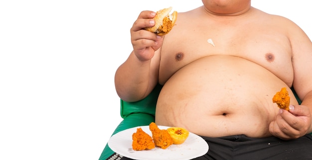 Gente asiÃ¡tica gorda con hamburguesas y demasiada grasa abdominal. y tienden a obstruir las arterias. Foto Premium 