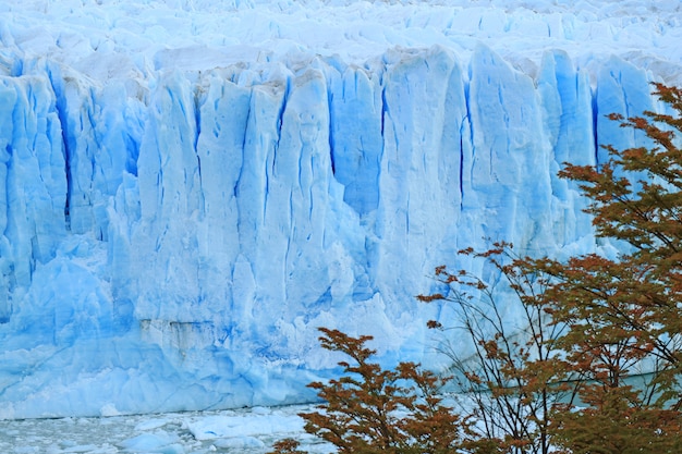 Glaciar Perito Moreno En El Lago Agentino Parque Nacional Los Glaciares El Calafate Patagonia Argentina Foto Premium