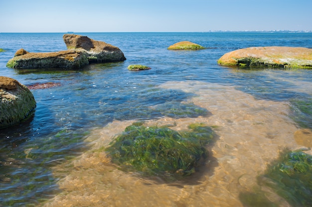 Grandes piedras en el agua. la contaminación del agua. Foto Premium