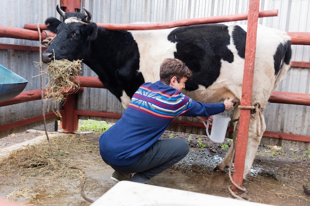 Granjero joven trabajando en la granja orgánica con una vaca lechera