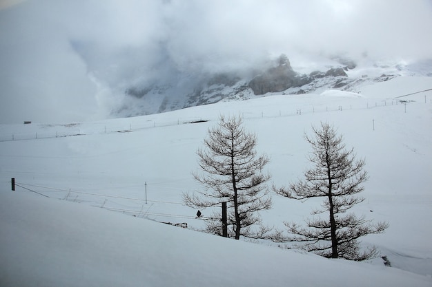 Hermosa Vista De Los Alpes Suizos En Primavera En El Famoso Tren