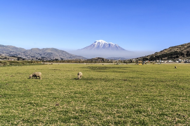 Hermosa vista de la montaña chimborazo en ecuador durante el día Foto gratis