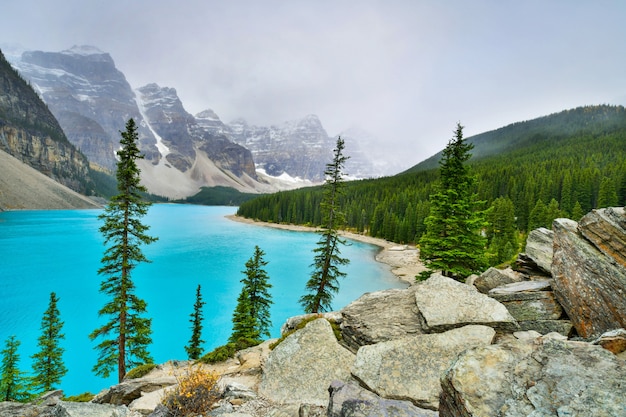 Hermosas Aguas Turquesas Del Lago Moraine En El Parque Nacional Banff Alberta Canada Foto Premium