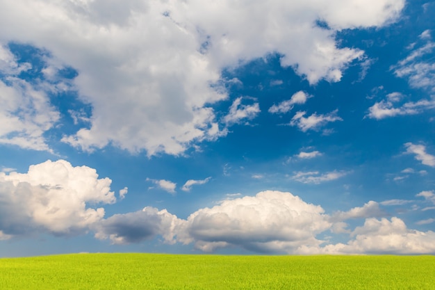 Hermoso Cielo Azul Y Campo Verde Fondo De Paisaje Natural Foto Premium 0464