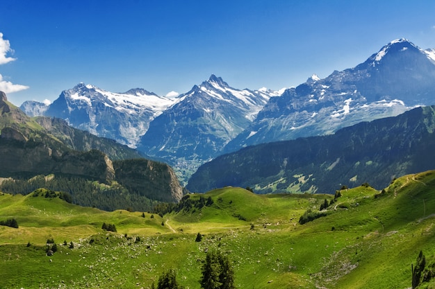 Hermoso Paisaje Idílico De Los Alpes Con Montañas En Verano Suiza Foto Premium 0798