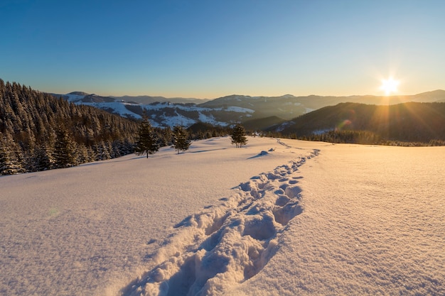 Hermoso Paisaje De Navidad De Invierno Ruta De La Huella Humana En La Nieve Profunda Blanca