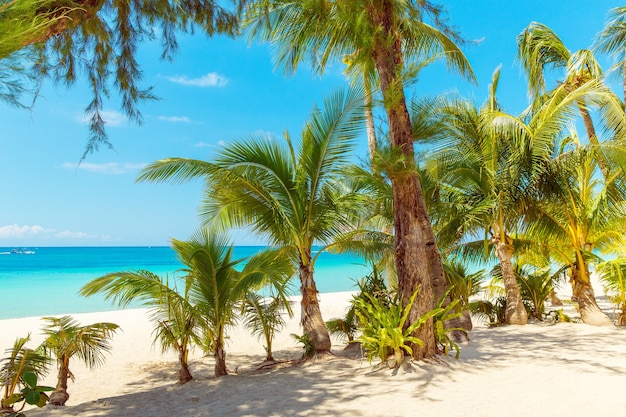 Hermoso Paisaje De Playa Tropical En La Isla De Boracay Filipinas