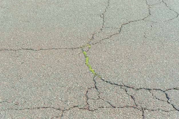 Resultado de imagen de foto hierba en la carretera