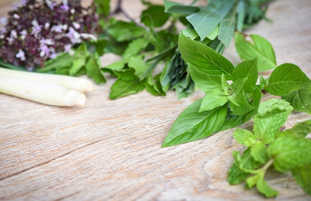 Hierbas frescas y especias con albahaca dulce hierba de limón albahaca