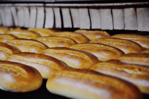 Las Hogazas Salen Del Horno En La Panadería Foto Premium 8786