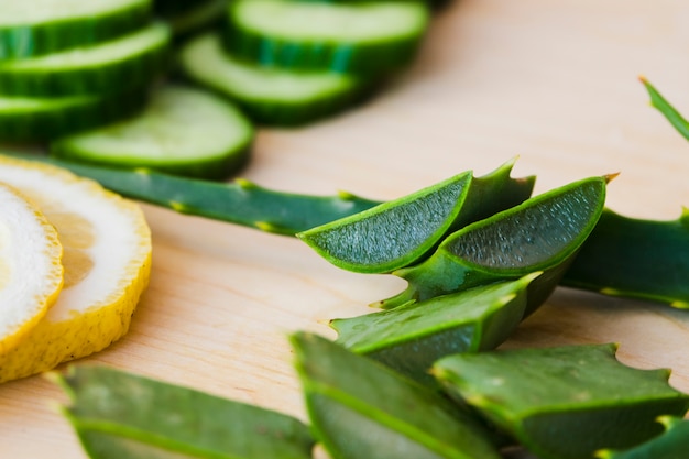 Hojas de aloe vera para tratamiento de belleza Foto gratis