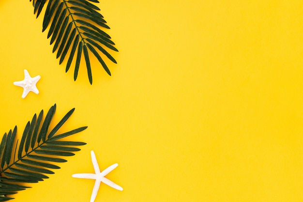 Hojas de palma con estrellas de mar sobre fondo amarillo Foto gratis