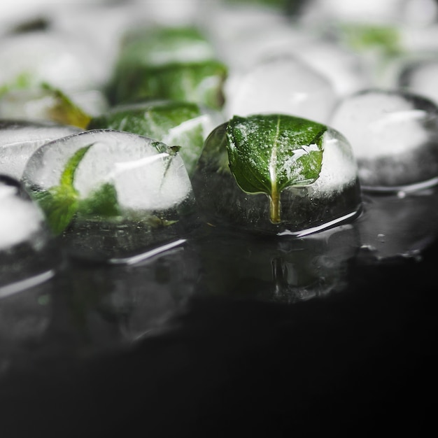 Hojas verdes en cubitos de hielo. Foto gratis