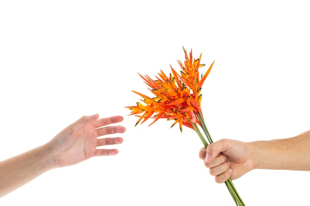 Hombre dando flores de regalo de san valentín a su novia | Foto Premium