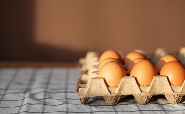 Unos huevos marrones entre las celdas de una gran bolsa de cartón, un ...