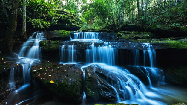 Impresionante Cascada Verde En El Bosque Profundo Foto Premium