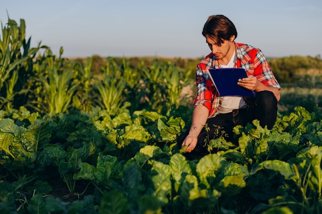 Ingeniero Agr Nomo En Un Campo Tomando El Control Del Rendimiento Y La