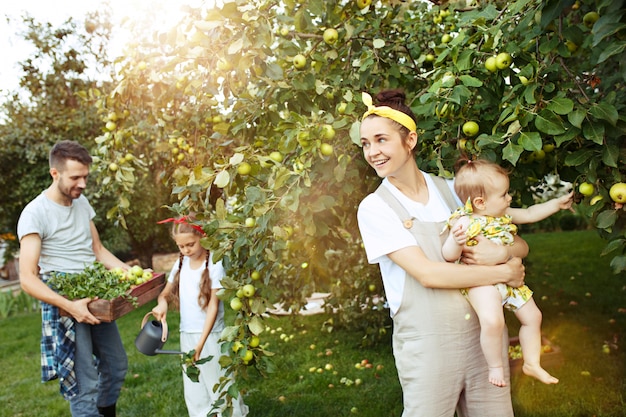 La joven familia feliz durante la recolección de manzanas en un jardín