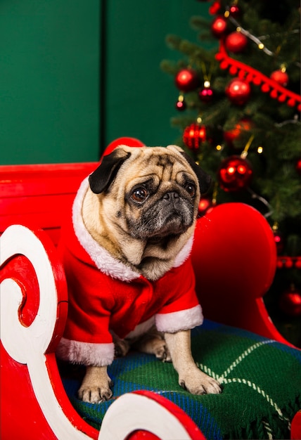 juegos gratis de pug