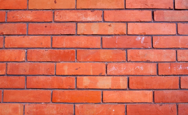 Ladrillos de pared Foto Premium