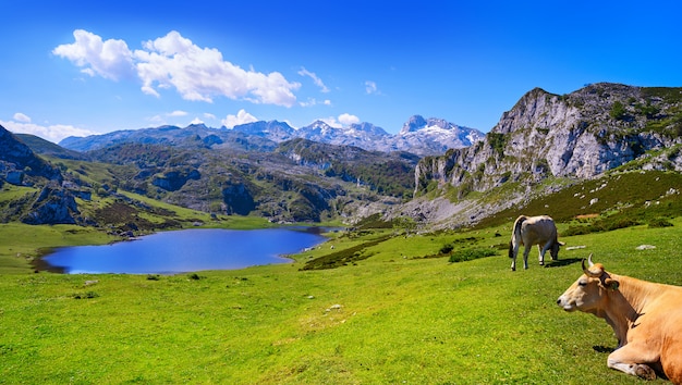 Lago ercina en picos de europa en asturias españa | Foto ...