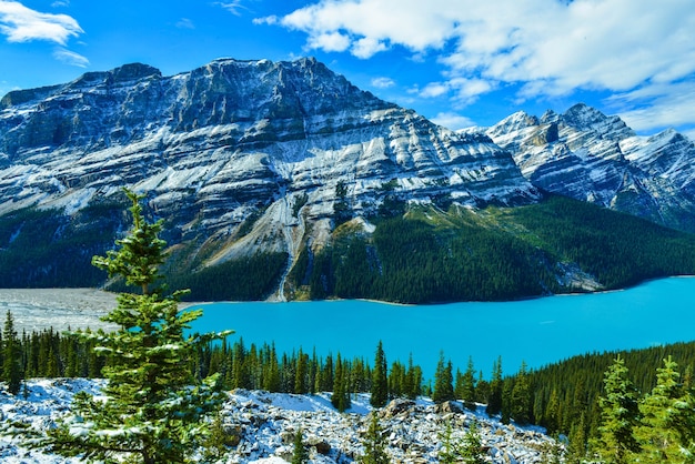 Lago Peyto En El Parque Nacional Banff Alberta Canada Foto Premium