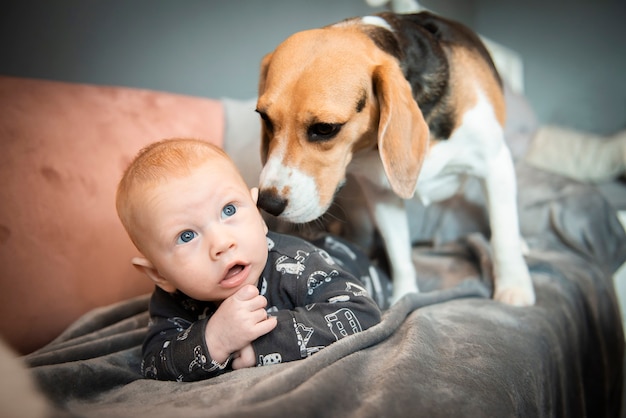 Lindo Bebe Recien Nacido Acostado Con Un Perro Beagle En Un Sofa Foto Premium