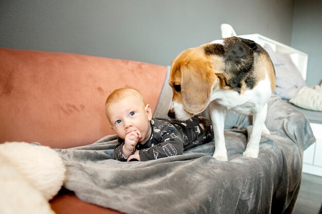 Lindo Bebe Recien Nacido Acostado Con Un Perro Beagle En Un Sofa Foto Premium