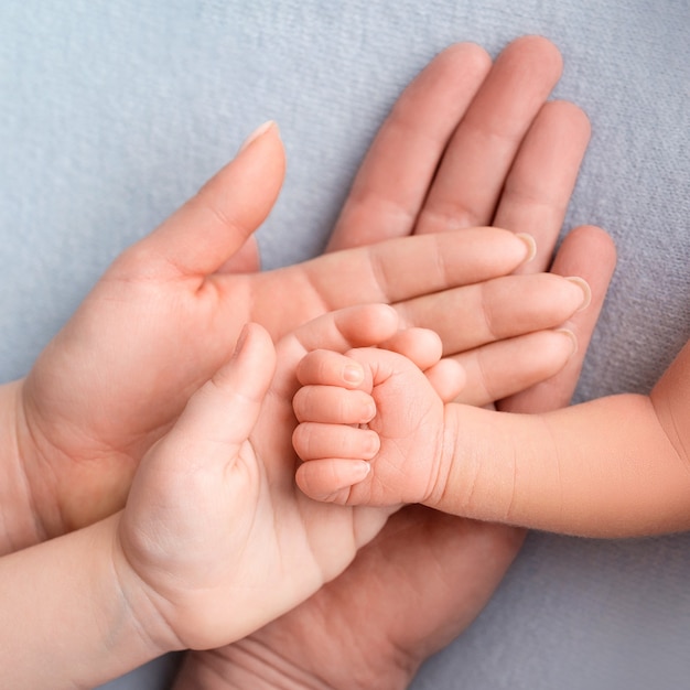 Mano De Bebe Recien Nacido Familia Mama Papa Y Un Nino Mayor Sostienen El Puno De Un Recien Nacido Foto De Alta Calidad Foto Premium