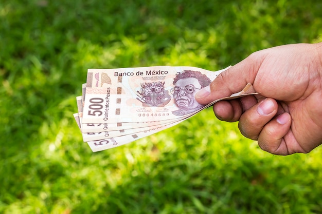 Mano con dinero - pesos mexicanos Foto Premium 