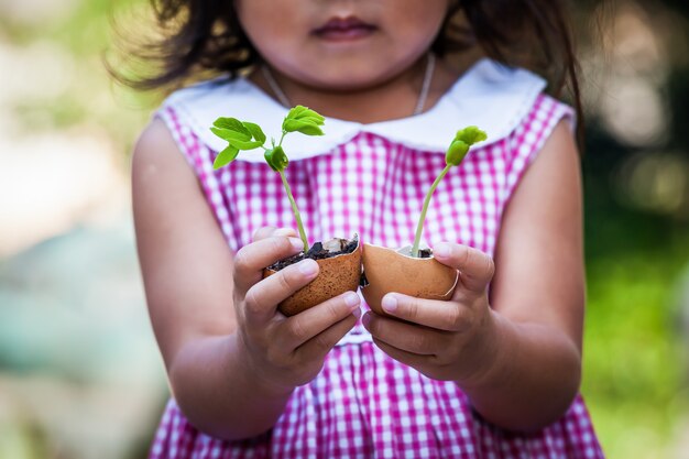 La mano del niño que sostiene el árbol joven en la cáscara de huevo