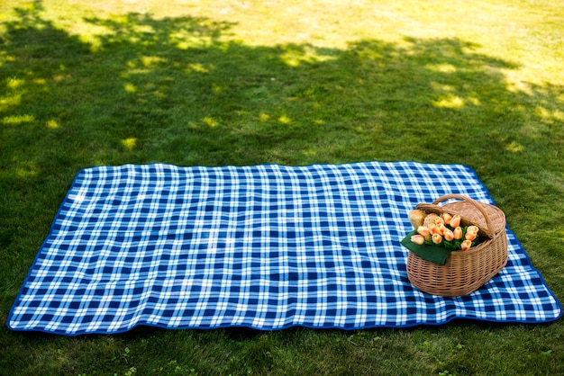 Manta de picnic con una cesta de alto ángulo | Foto Gratis