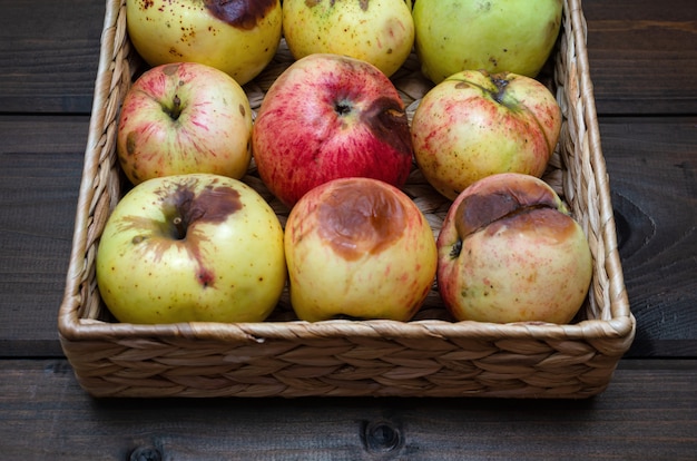 Manzanas feas en la cesta de mimbre en la mesa de madera marrón. de cerca. Foto Premium 