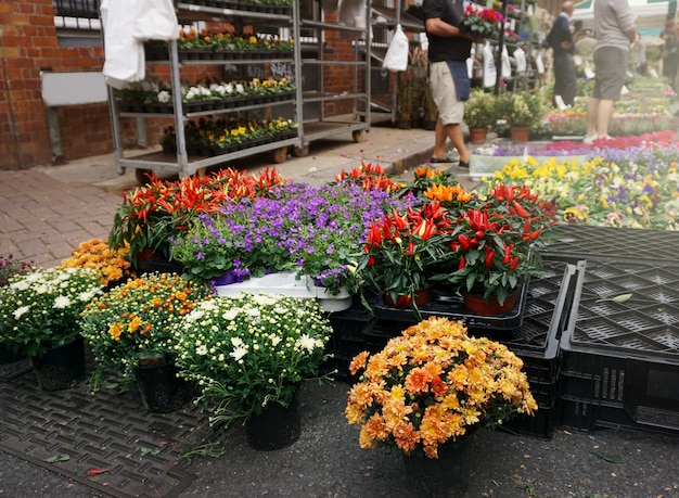 Mercado De Flores Foto Gratis