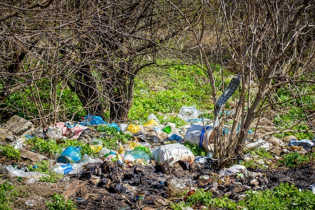 Mont N De Basura En El Bosque Bajo Los Rboles Contaminaci N Ambiental Problemas De Ecologia