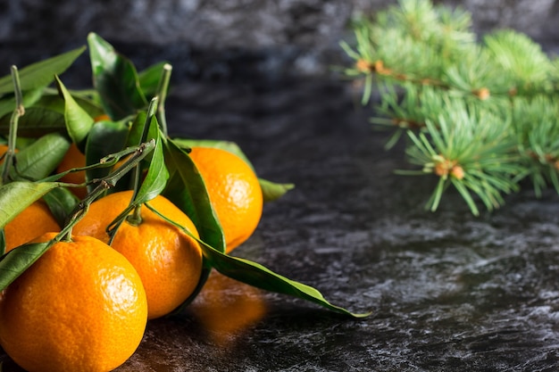 Muchas mandarinas naranjas navideñas con hojas verdes y abeto sobre