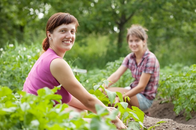 Mujeres Que Trabajan En Huerta | Foto Premium