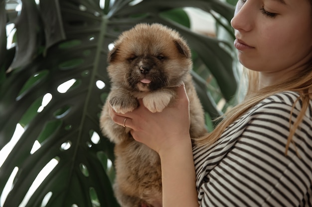 La Nina Sostiene Un Pequeno Cachorro Recien Nacido Esponjoso En Sus Brazos Foto Premium